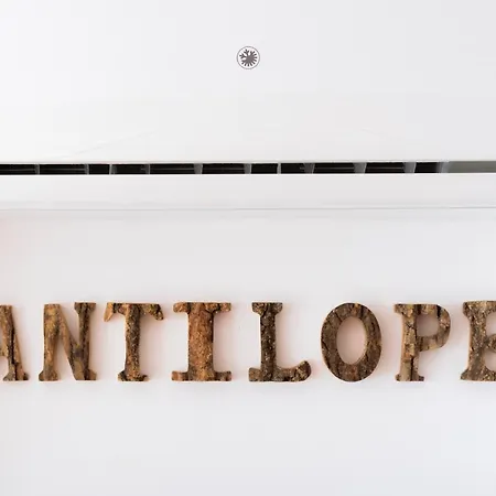 Antilope